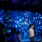 2018 akrilik denizanası akvaryum tankı cam