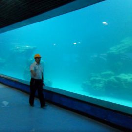Akvaryum / oceanarium için dökme duvar UV akrilik panel