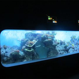 Yapay Döküm Akrilik Silindirik Şeffaf balık akvaryumu / görünüm penceresi