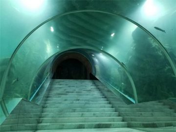 Akrilik tünel akvaryum proje fiyatı