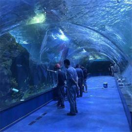 Halk akvaryumlarında akrilik tünel okyanusu projesi