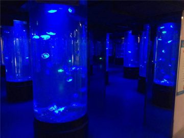 akrilik denizanası akvaryum tankı cam